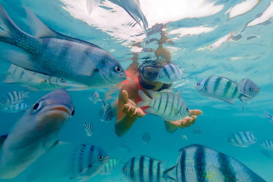 Zanzibar: Mnemba Island Snorkeling and Dolphin Tour - Getting To Mnemba from Muyuni Beach