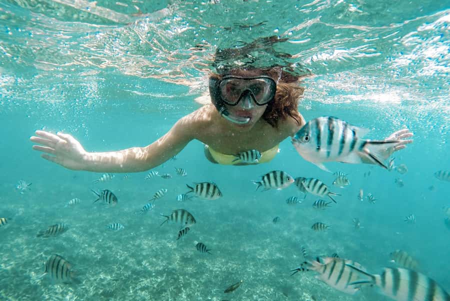 Zanzibar: Mnemba Island Snorkeling and Dolphin Tour - The Mnemba sandbank break: when the tide allows