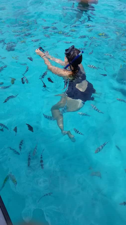 Zanzibar: Mnemba Island Snorkeling and Dolphin Tour - Seafood lunch on the coast: early, filling, and real