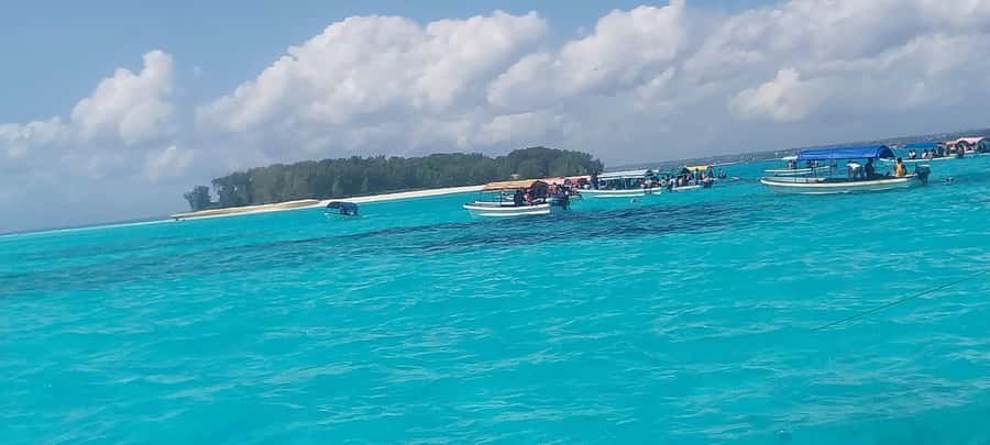 Zanzibar: Mnemba Island Snorkeling and Dolphin Tour - Price and value: $40 per person, what you actually get