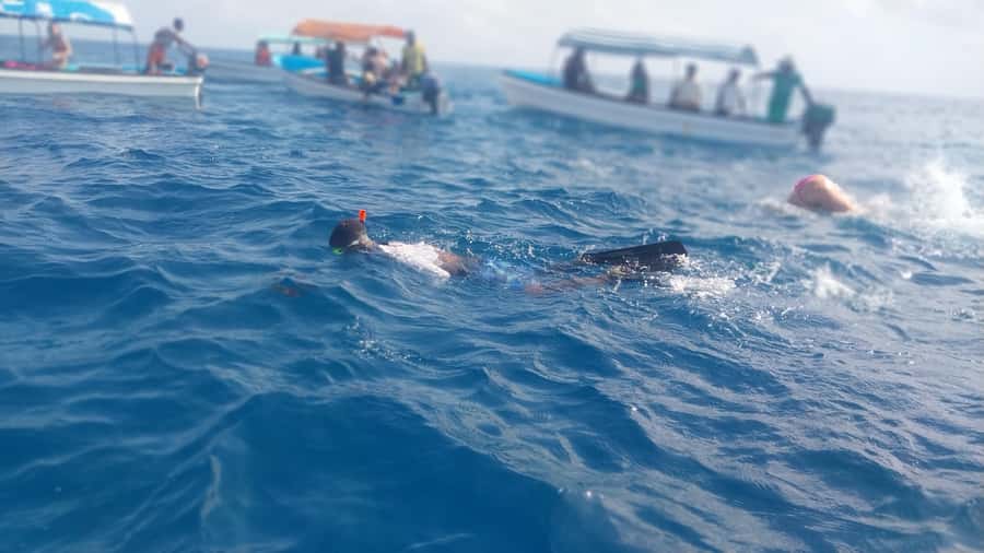 Zanzibar: Mnemba Island Snorkeling and Dolphin Tour - Logistics, timing, and the small stuff that matters