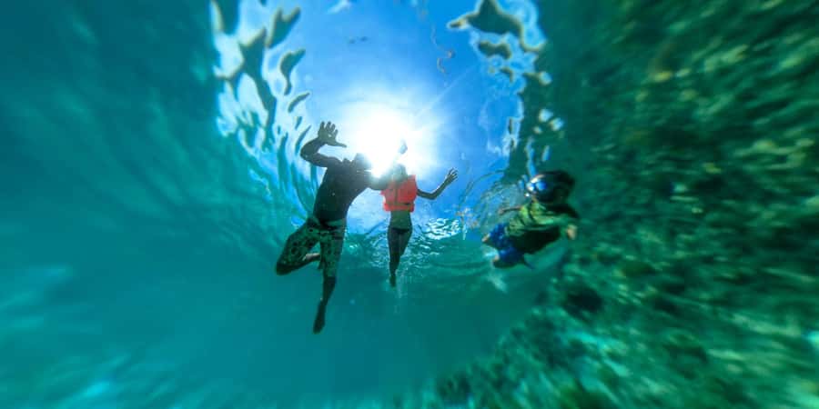 Zanzibar: Mnemba island Snorkeling & Boat Tour with Lunch - Who should book this, and who should skip it