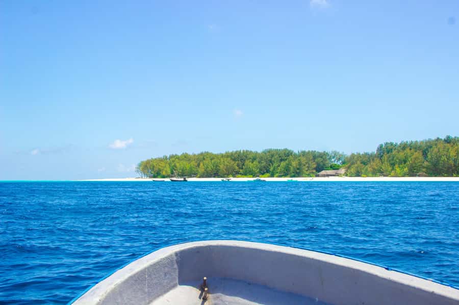 Zanzibar: Mnemba island Snorkeling & Boat Tour with Lunch - Practical tips that make a real difference