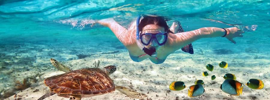 Zanzibar Mnemba island snorkling & swim with turtles Tour - Swimming with rescued sea turtles at Nungwi, not just a photo stop