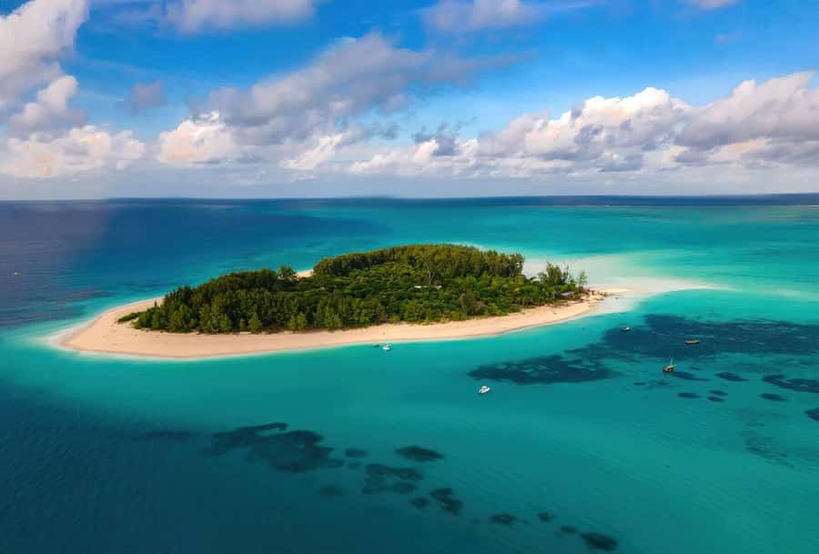 Zanzibar Mnemba island snorkling & swim with turtles Tour - Price and inclusions, is $60 worth it for a private marine day?