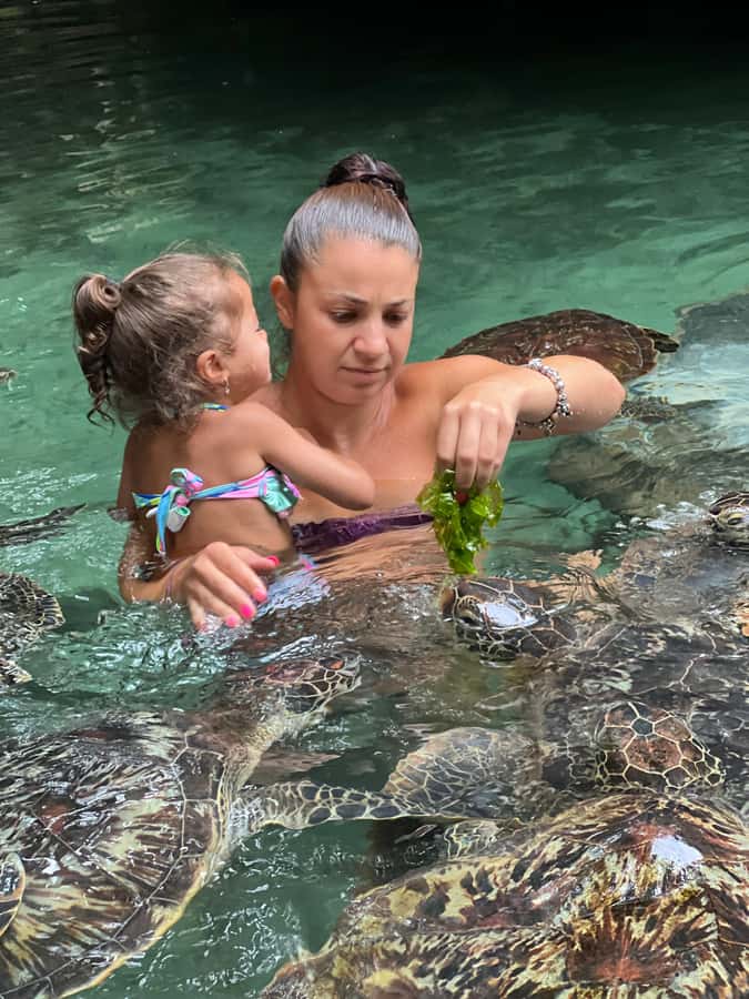 Zanzibar Mnemba island snorkling & swim with turtles Tour - What to pack (and what not to forget) for turtles and reefs
