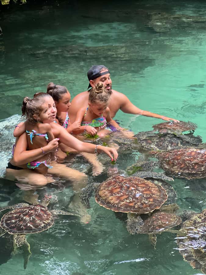Zanzibar Mnemba island snorkling & swim with turtles Tour - Weather, expectations, and how to make the water time go smoothly