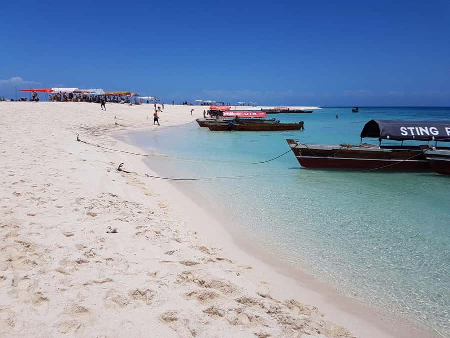 Zanzibar: Nakupenda Sandbank and Prison Island Tour & Lunch - Giant Aldabra Tortoises: The Encounter Part You Actually Remember