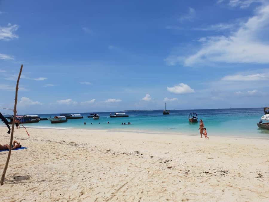 Zanzibar: Nakupenda Sandbank and Prison Island Tour & Lunch - Who This Tour Fits Best