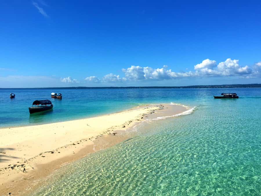 Zanzibar: Nakupenda Sandbank and Prison Island Tour & Lunch - Prison Island: Old Cells, Island History, and a Quick Reality Check