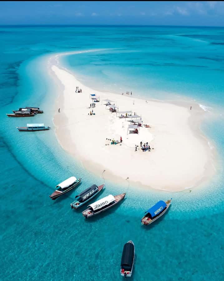 Zanzibar: Nakupenda Sandbank & Prison Island Trip with Lunch - Key Points You’ll Care About