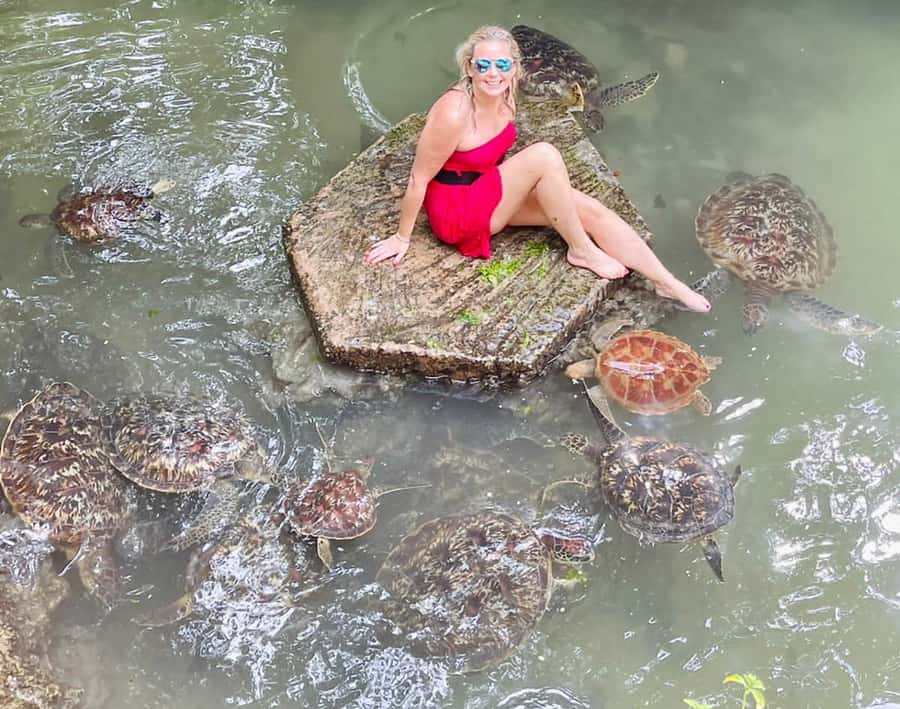 Zanzibar: North Coast and Turtle Sanctuary Tour - Key Things You’ll Notice on This Tour