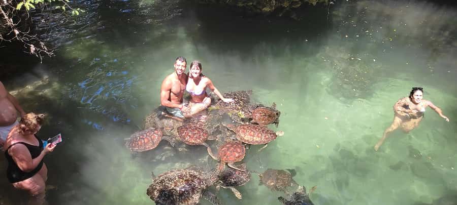 Zanzibar: North Coast and Turtle Sanctuary Tour - Why the Nungwi North Coast Stop Matters