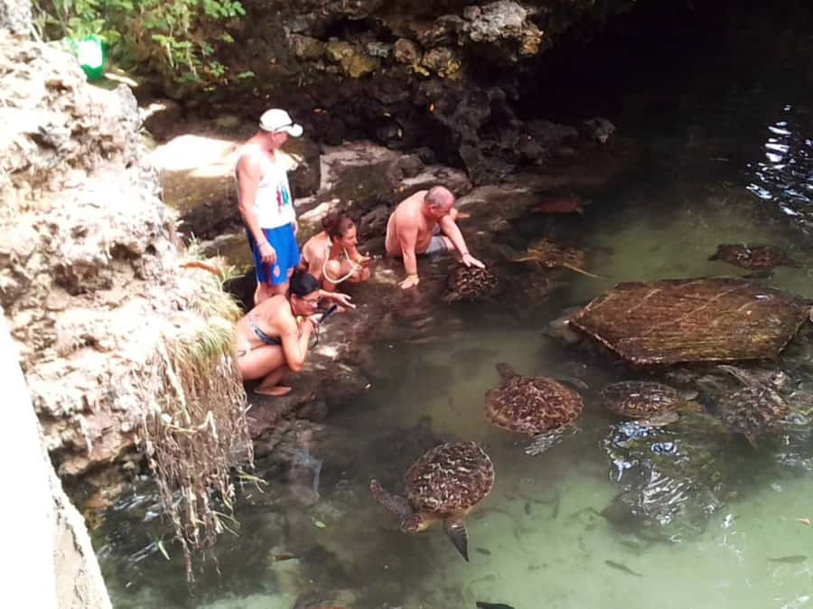 Zanzibar: North Coast and Turtle Sanctuary Tour - The Beach Break, Especially If You Like Walking When It’s Low Tide