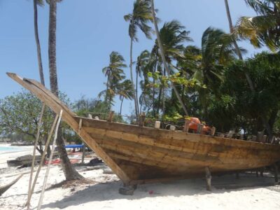 North Coast and Turtle Sanctuary Tour