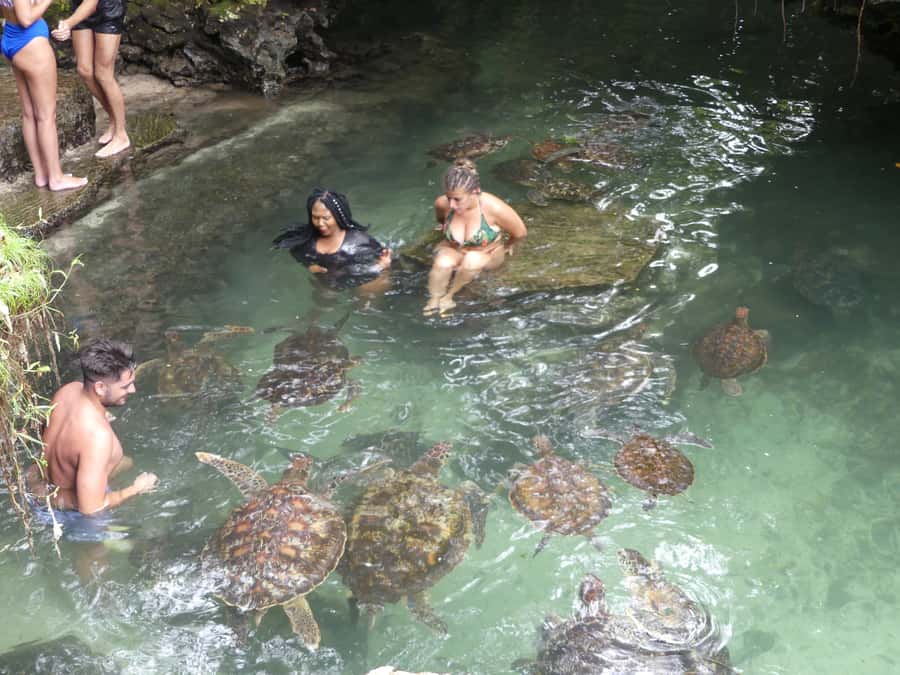 Zanzibar: North Coast and Turtle Sanctuary Tour - Guides, Driving Time, and Why Punctuality Helps