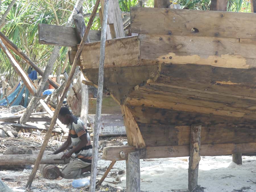 Zanzibar: North Coast and Turtle Sanctuary Tour - Price and Value: What $112 Gets You in Real Terms