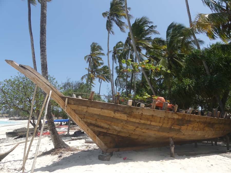 Zanzibar: North Coast and Turtle Sanctuary Tour - Dhow Boat Building in Nungwi, What You’ll Learn and Why It’s Cool