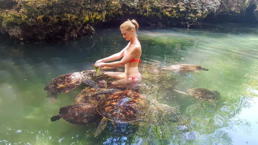 Zanzibar: Nungwi Turtle Aquarium Guided Half-Day Trip - How the half-day flows, pickup to aquarium to Kendwa beach