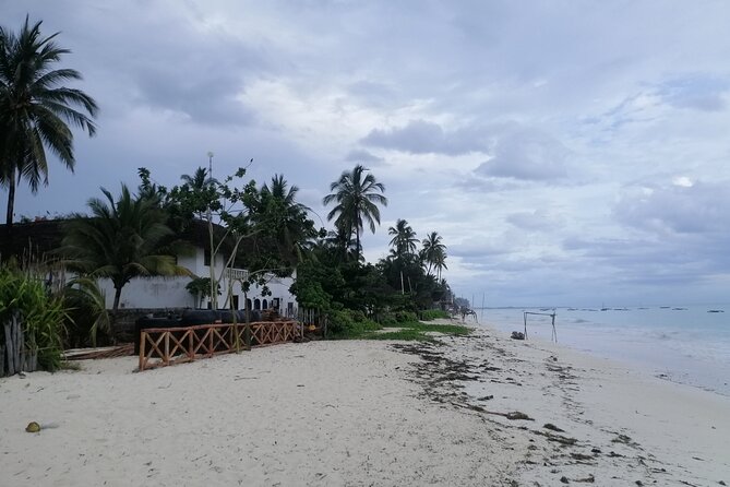 Zanzibar Prime Taxi Services - Who This Service Fits Best