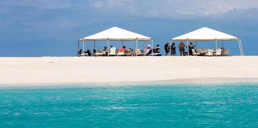 Zanzibar: Prison Island and Nakupenda Boat Trip with Lunch - Who should book this trip, and who should skip it