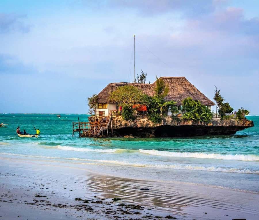 Zanzibar: Prison Island, Monkeys, and Kuza Cave Private Tour - Jozani Forest: where you actually hope to see red colobus