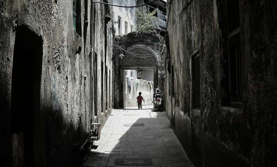 Zanzibar: Prison Island, Nakupenda, Stone Town Trip with BBQ - Should You Book This Zanzibar Day Trip?