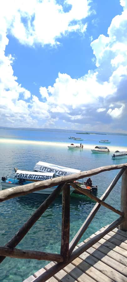 Zanzibar; Prison Island, Nakupenda, StoneTown Tour with BBQ - Who This Tour Fits Best, and Who Should Reconsider