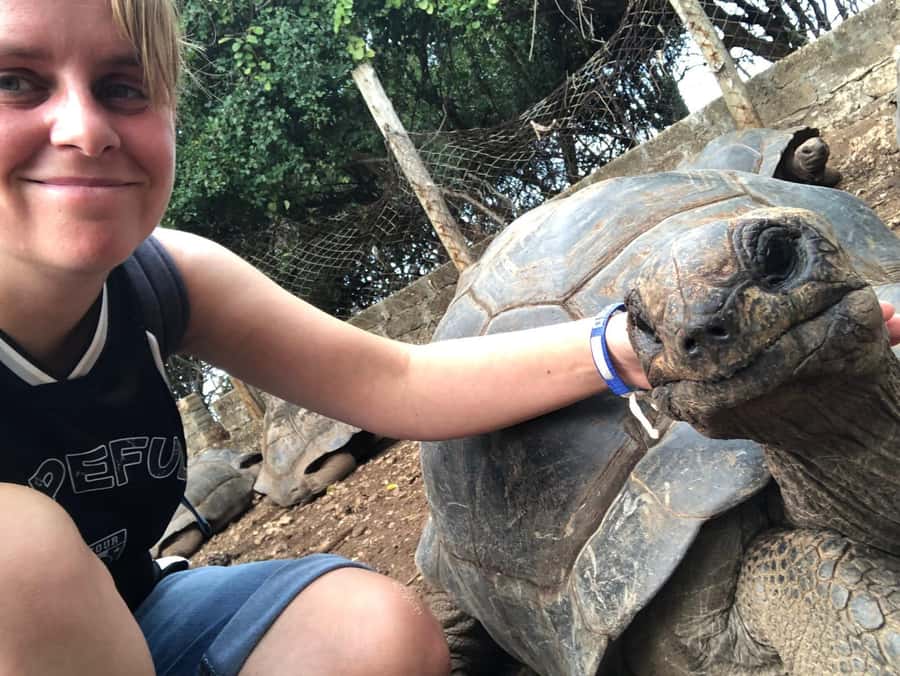 Zanzibar: Prison Island, Stone Town, & Spice Farm Tour - Prison Island (Changuu): 1893 prison history and giant tortoises
