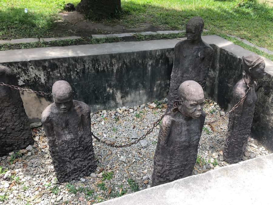 Zanzibar: Prison Island, Stone Town, & Spice Farm Tour - Price and value for $70 per person and where your money goes