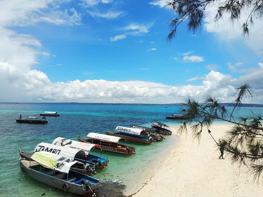 Zanzibar: Prison Island Tour with Lunch on the Sandbank - Key points that make this tour worth your time