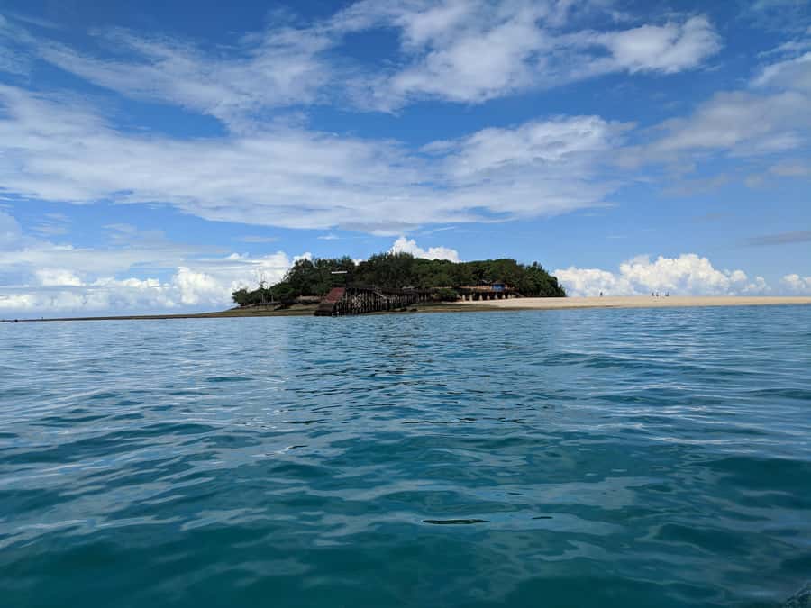 Zanzibar: Prison Island Tour with Lunch on the Sandbank - Lunch on the sandbank: seafood BBQ, Swahili flavors, and fruit