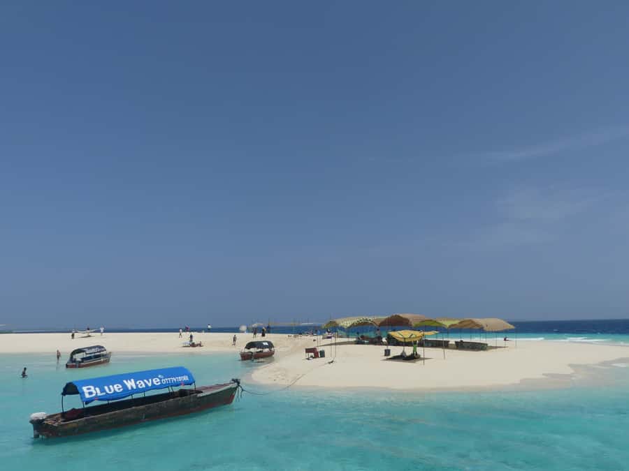 Zanzibar: Prison Island Tour with Lunch on the Sandbank - Price, value, and what is covered in your $99 ticket