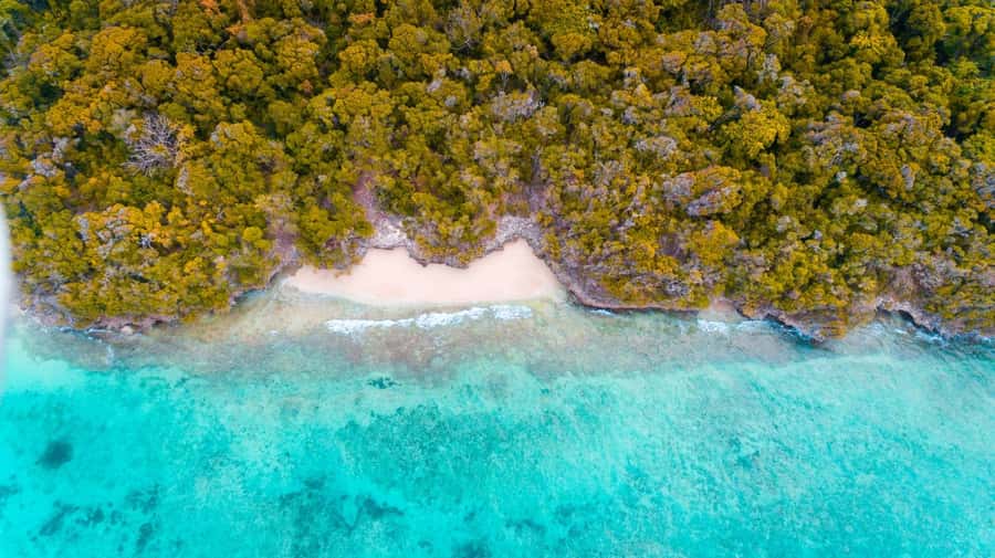 Zanzibar: Private Sail to Pungume Sandbank with BBQ Lunch - Dolphin Hotspots: What the Captain Tries to Do Near Kizimkazi