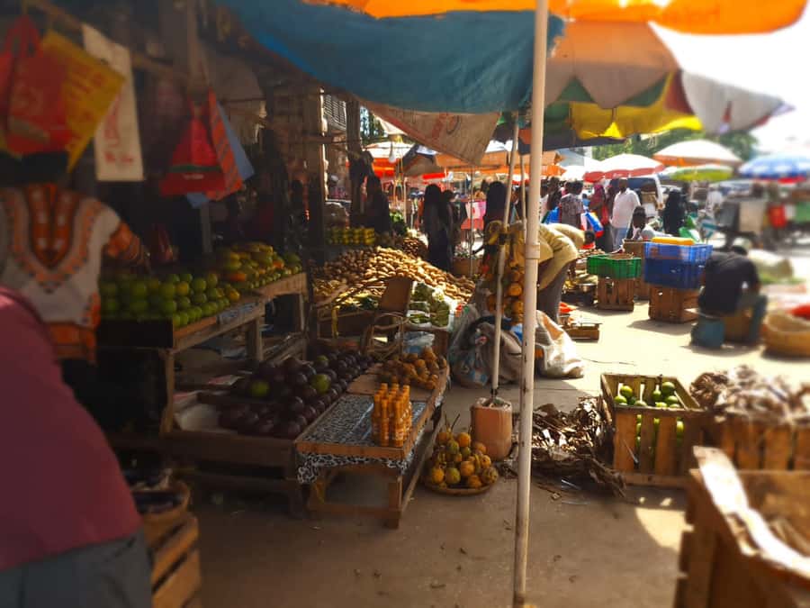 Zanzibar: Private walking tour in stone town - Price and timing: is $44 per person worth it?