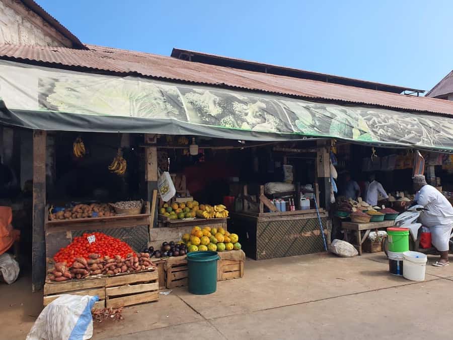 Zanzibar: Private walking tour in stone town - Who this Zanzibar tour is best for