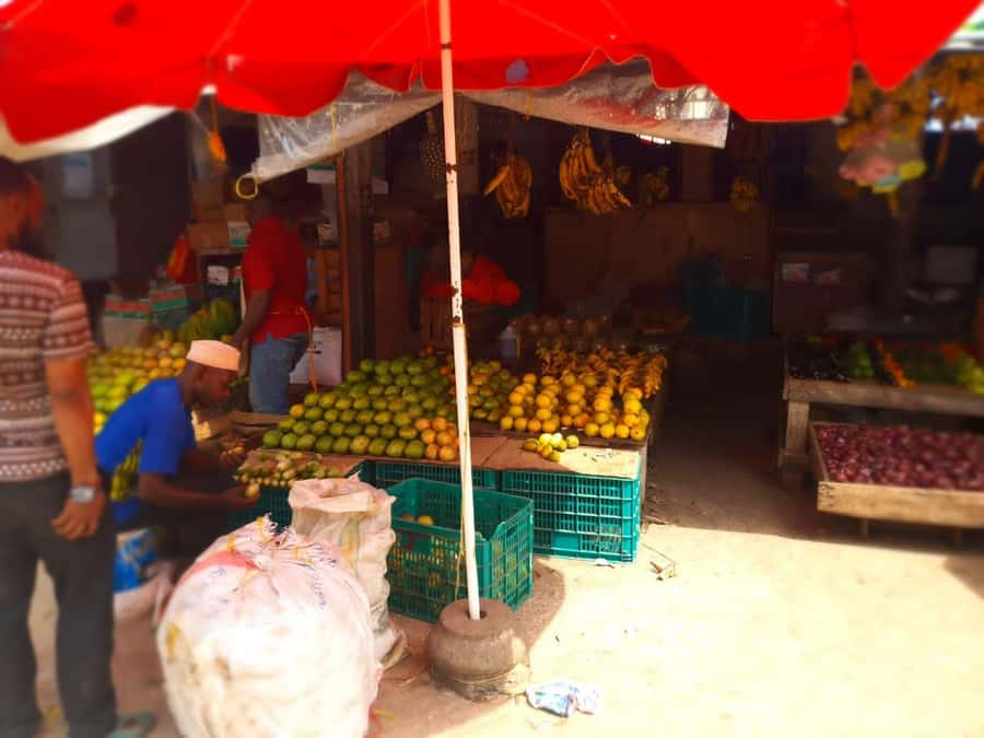 Zanzibar: Private walking tour in stone town - Getting your bearings: Old Fort gate to the UNESCO core