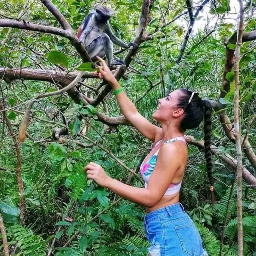 Zanzibar: Red Colobus Monkeys in Jozani Forest Guided Tour - Red colobus monkeys: what you’ll realistically see (and why the guide matters)