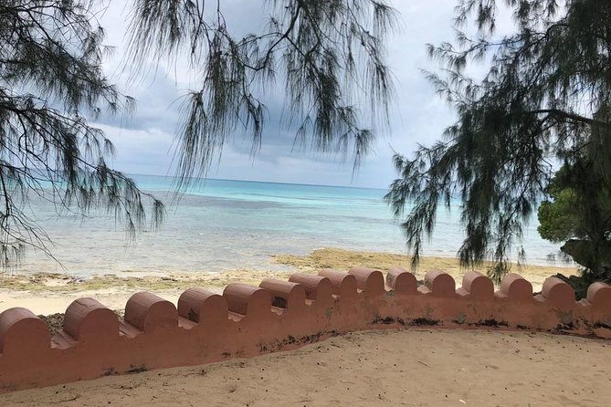 Zanzibar's Finest: Private Tour of Top 5 Attractions with Lunch - Lukmaan Restaurant Lunch Break: Swahili Food and Fresh Juice