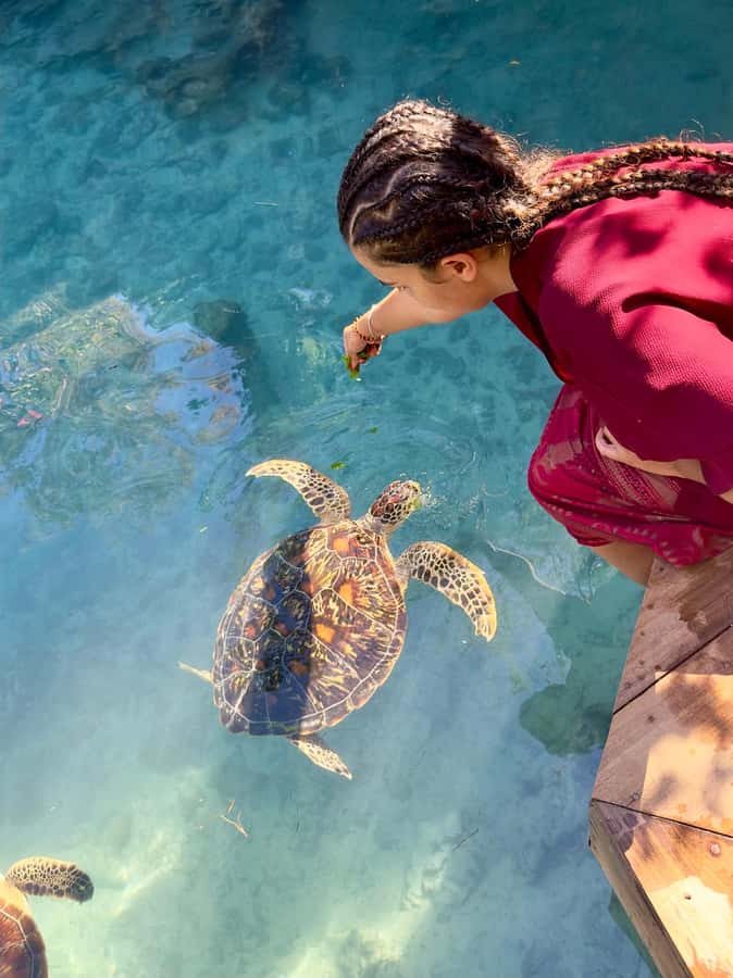 Zanzibar: Sea Turtle Swim at Kizimkazi Salaam Cave Tour - Kizimkazi Salaam Cave, what this tour really is