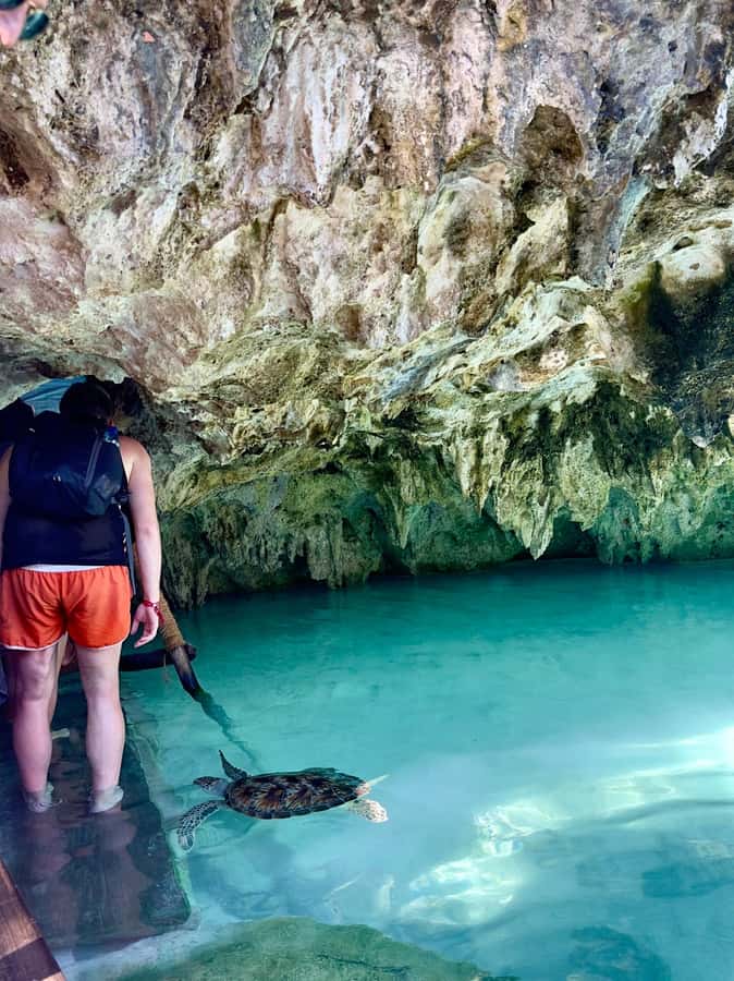 Zanzibar: Sea Turtle Swim at Kizimkazi Salaam Cave Tour - Guided cave tour with Luqman, life cycle lessons you can actually use