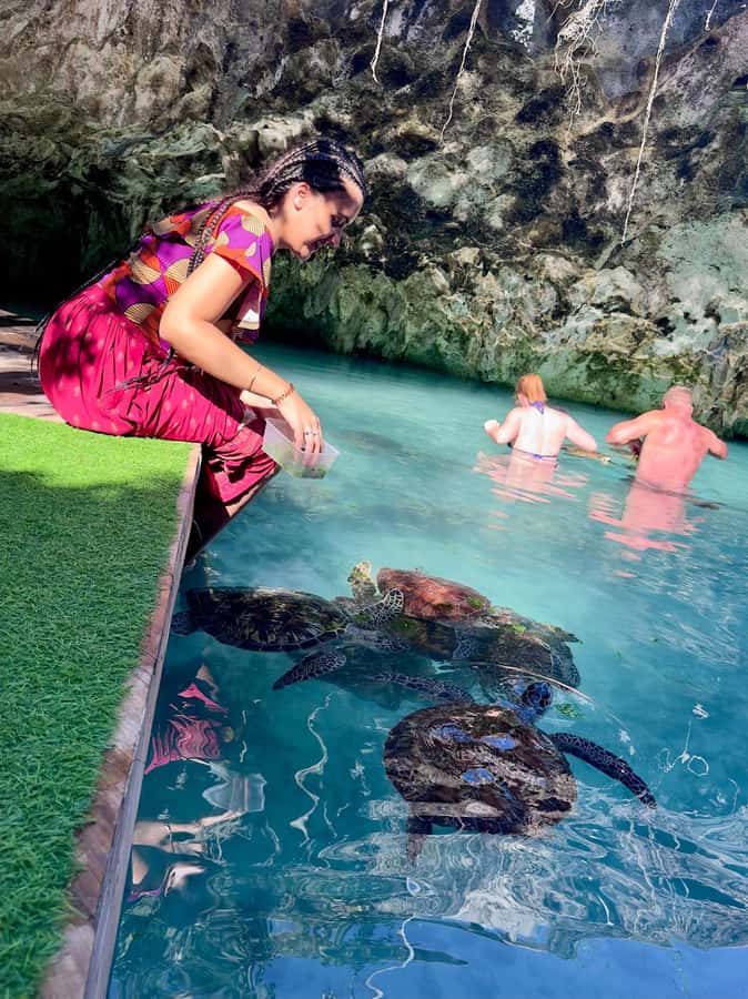Zanzibar: Sea Turtle Swim at Kizimkazi Salaam Cave Tour - Swim with turtles, feeding seaweed, and how to stay comfortable in the water