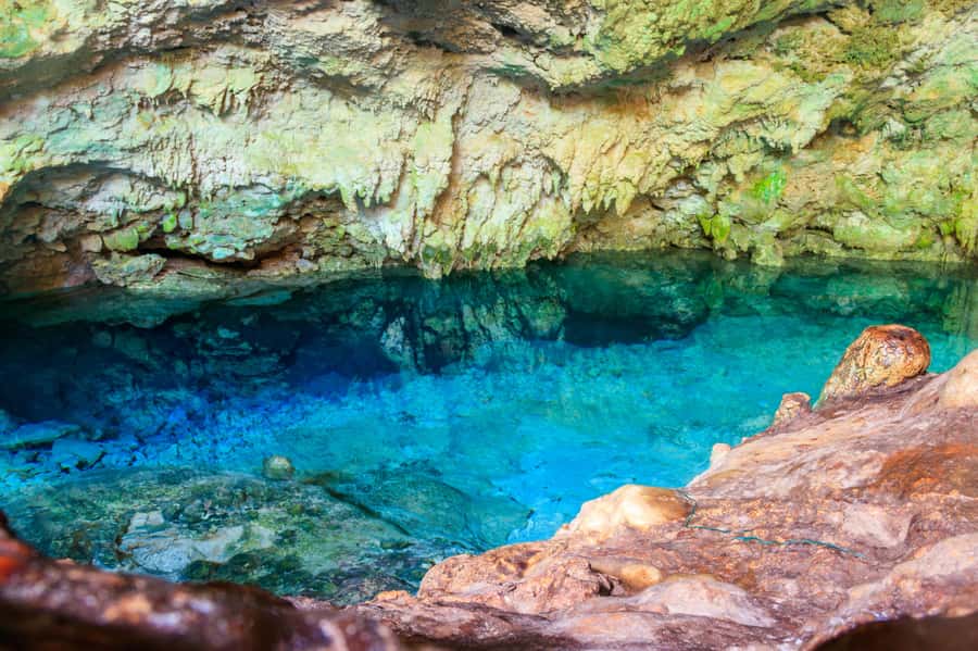 Zanzibar : Secret Beach, Kuza Cave and Jozani with transfer - Jozani Chwaka Bay National Park: mangroves walk plus Red Colobus odds
