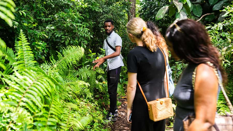 Zanzibar : Secret Beach, Kuza Cave and Jozani with transfer - Should you book Secret Beach, Kuza Cave and Jozani with transfer?