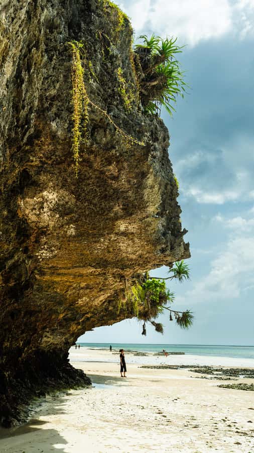 Zanzibar : Secret Beach, Kuza Cave and Jozani with transfer - Kuza Cave: 50-meter sinkhole, snorkel chance, and a short sightseeing window