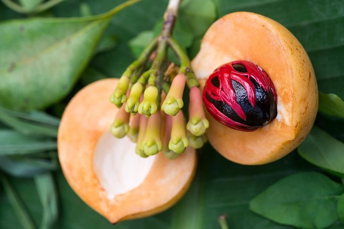 Zanzibar Spice Farm Half-Day Walking Tour - Shopping Time at the Community Spice Shop: Spend With Eyes Open