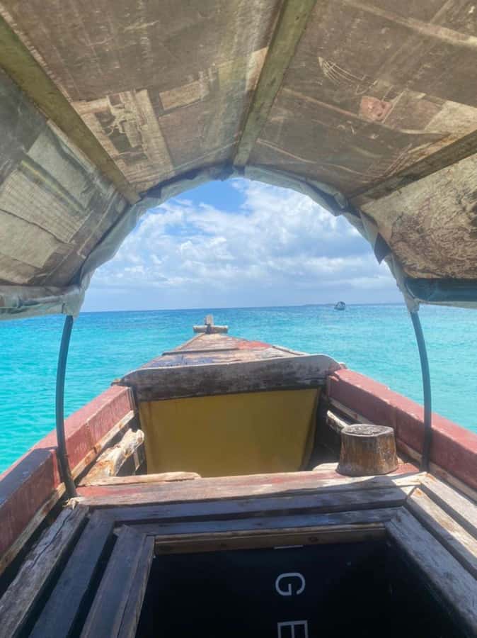 Zanzibar: Spice Tour, Stone Town tour & Prison Island - Who this tour fits, and who should rethink it