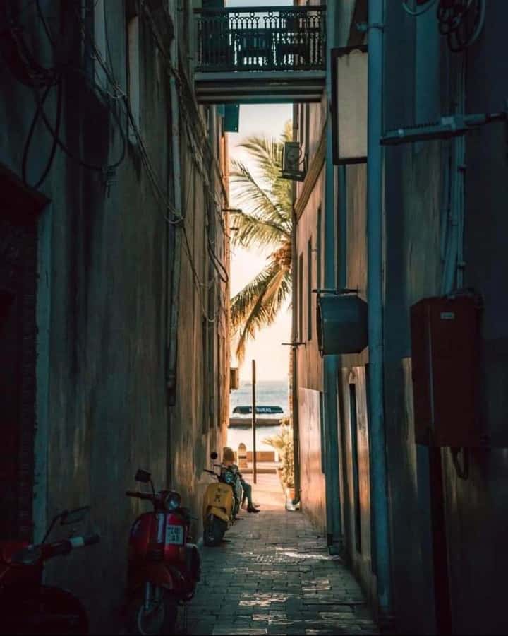 Zanzibar: Spice Tour & Stone Town Walking Tour - Price and Value: Is $95 for This Half-Day Worth It?