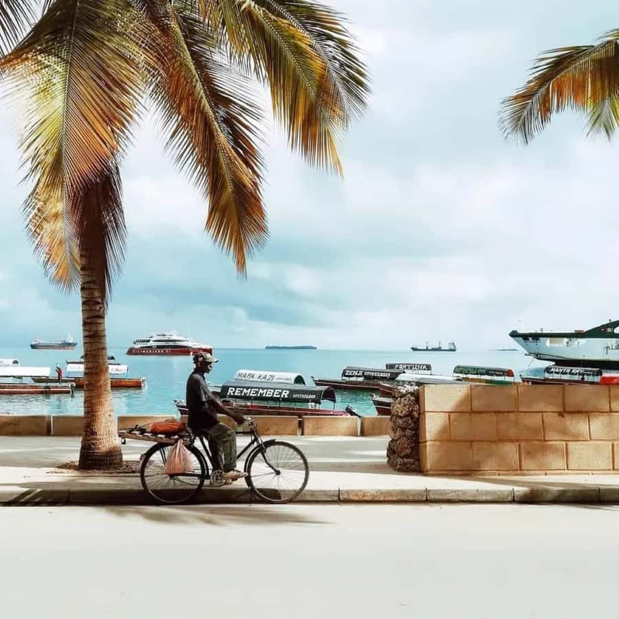 Zanzibar: Spice Tour & Stone Town Walking Tour - The End-of-Day Market Walk: Where You See Zanzibar at Street Level