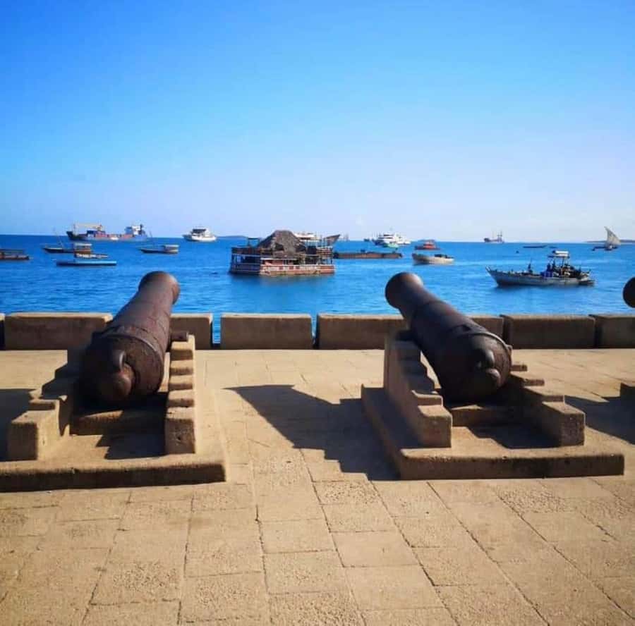 Zanzibar: Spice Tour & Stone Town Walking Tour - Private Guide Dynamics: Why the Human Touch Changes Everything